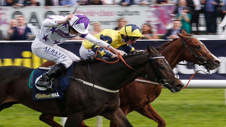 saturday-racing-tips-tony-calvin-newcastle